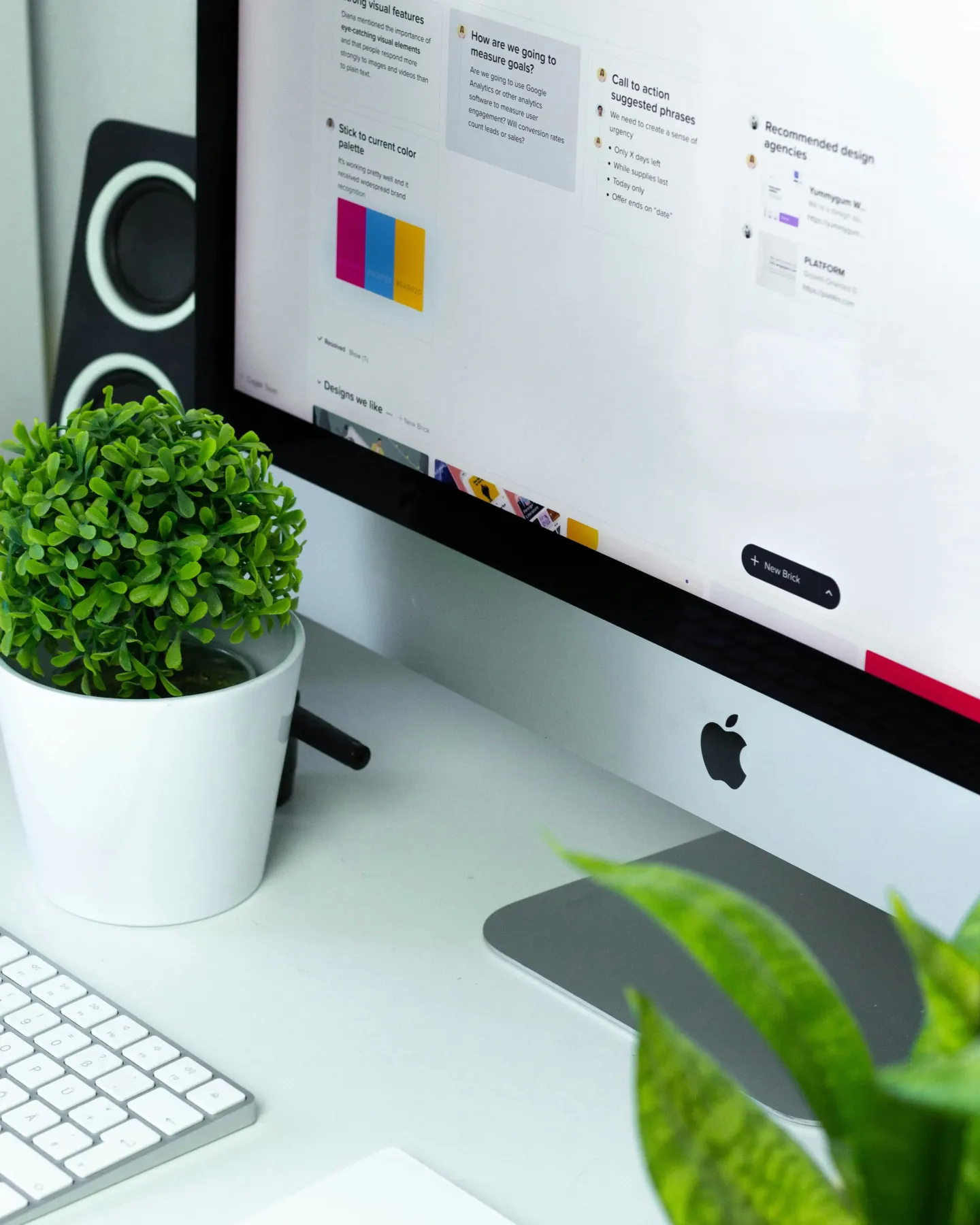 Écran d’ordinateur affichant une page web, sur un bureau avec une plante